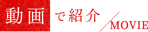 動画で紹介